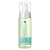 Boots Tea Tree & Witch Hazel Foaming Face Wash 150ml
