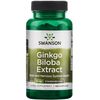 Swanson Ginkgo Biloba Extract, 60mg - 120 caps