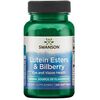 Swanson Lutein Esters & Bilberry - 120 softgels