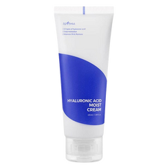 Isntree Hyaluronic Acid Moist Cream 100 ML