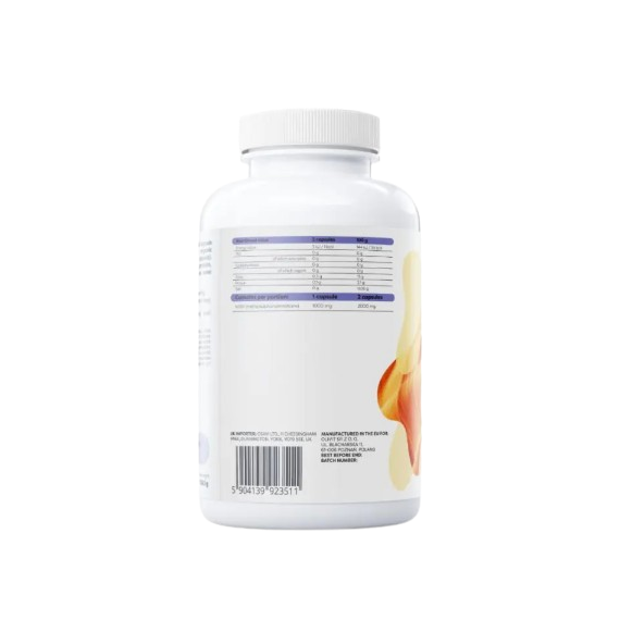 Osavi MSM 1000mg 120 Capsules
